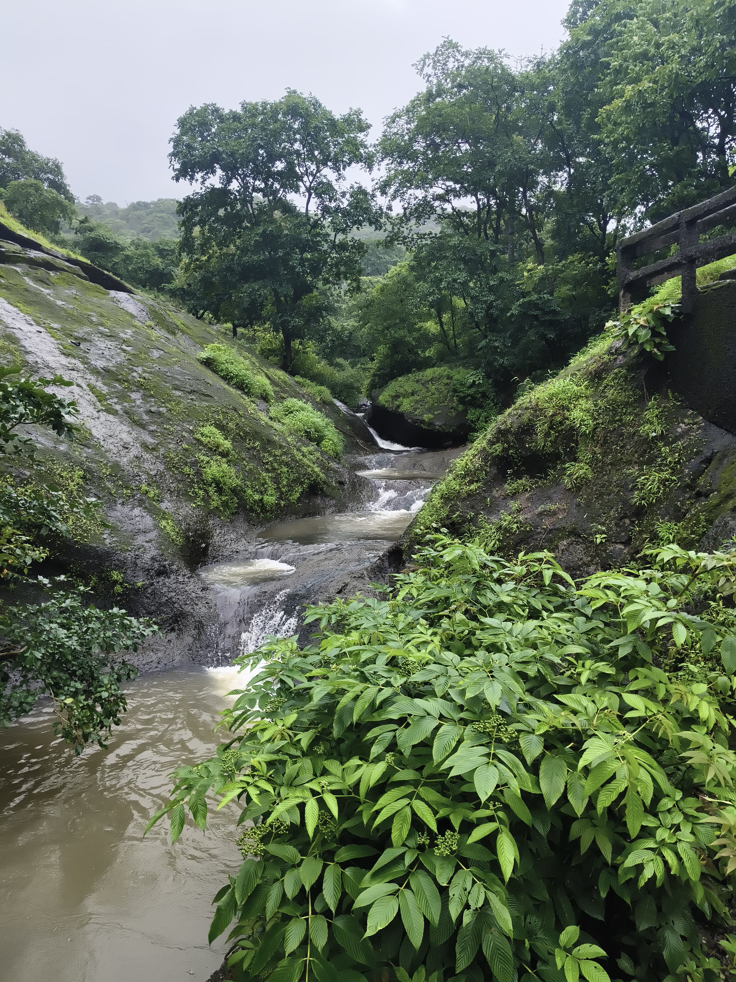 Kanheri Caves & Pagoda Tour Mumbai